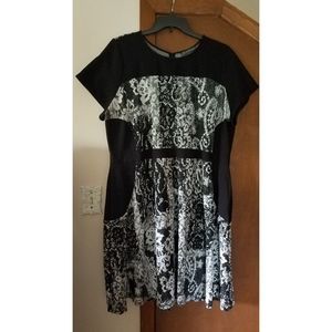 Adrianna Papell Dress 22W